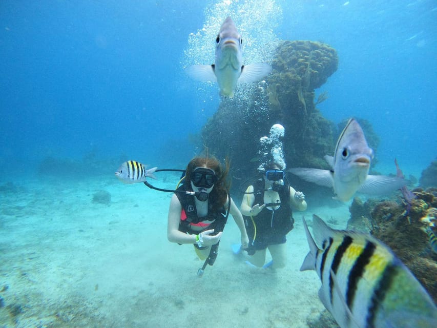 From Cozumel: Chankanaab Cozumel Scuba Diving - Guides, equipment, and the small details that matter
