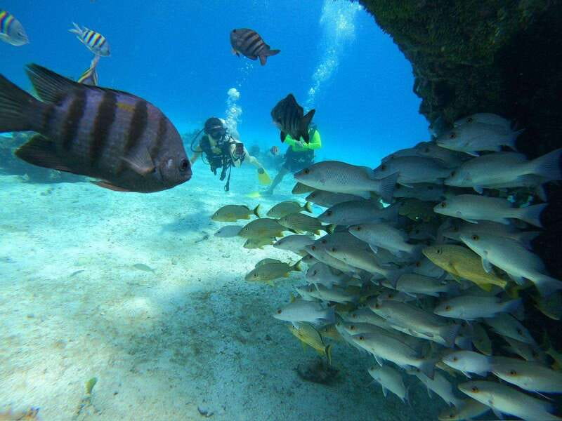 From Cozumel: Chankanaab Cozumel Scuba Diving - Arriving at Chankanaab from the cruise port