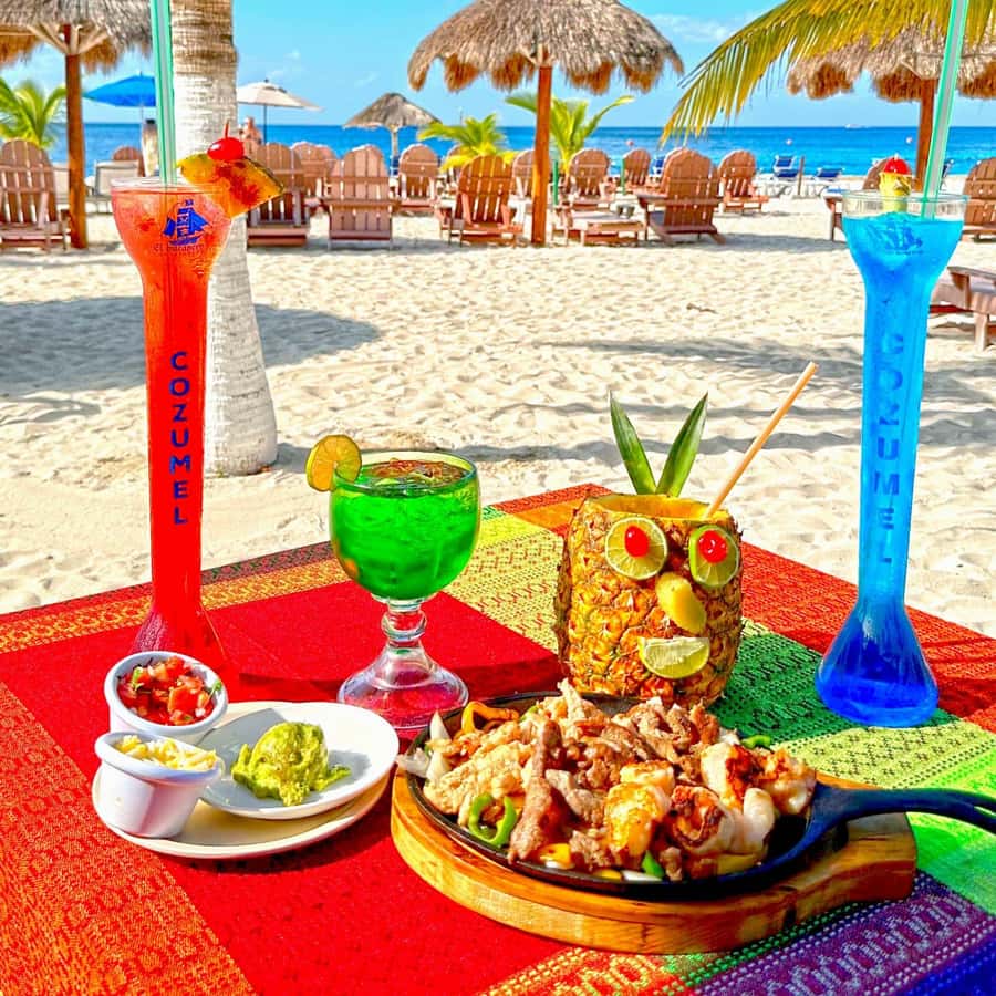 From Cozumel: Chankanaab Park Day pass with Open Bar & Lunch - Key points to know before you go