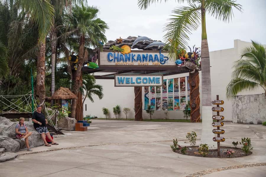 From Cozumel: Chankanaab Park Day pass with Open Bar & Lunch - Is $77 a good value?