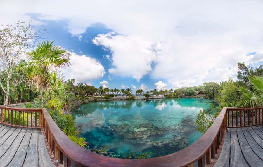 From Cozumel: Chankanaab Park Day pass with Open Bar & Lunch - Who will enjoy this Chankanaab pass most?