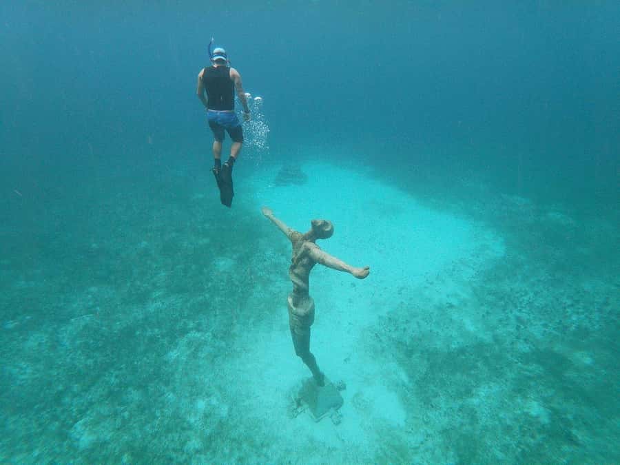 From Cozumel: Chankanaab Park Day pass with Open Bar & Lunch - Useful planning details at a glance