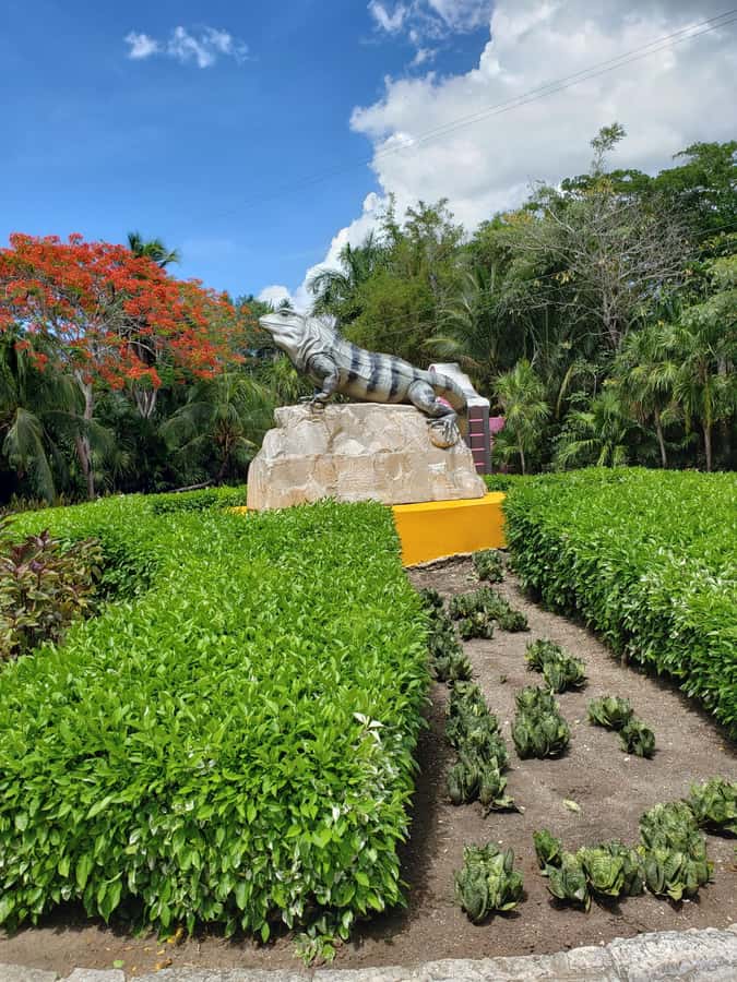 From Cozumel: Chankanaab Park Day pass with Open Bar & Lunch - Should you book it?
