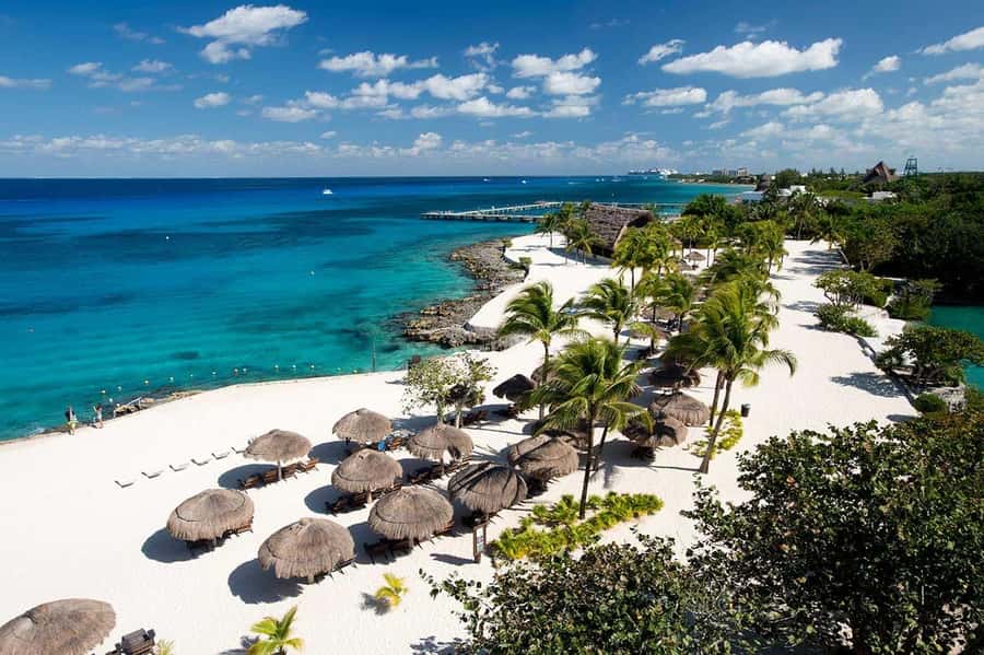 From Cozumel: Chankanaab Park Day pass with Open Bar & Lunch - Snorkeling near Cozumel’s famous reef