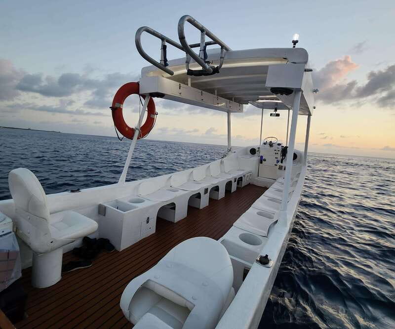 From Cozumel: Double Tank Scuba Diving for Certified Divers - The first 45-minute reef session