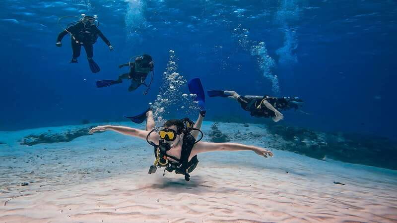 From Cozumel: Double Tank Scuba Diving for Certified Divers - Who should choose this Cozumel trip