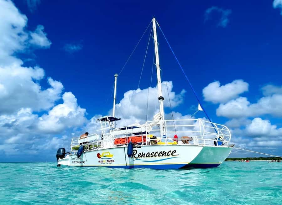 From Cozumel: El Cielo Beach by Catamaran Snorkeling Tour - Why El Cielo makes this trip special