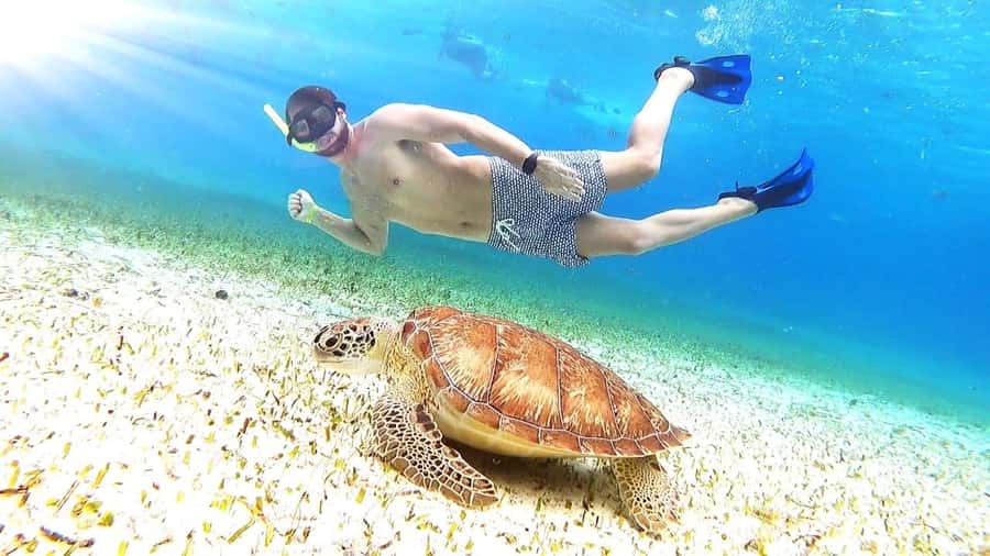 From Cozumel: El Cielo Beach by Catamaran Snorkeling Tour - Turtle Bay and El Cielito add variety
