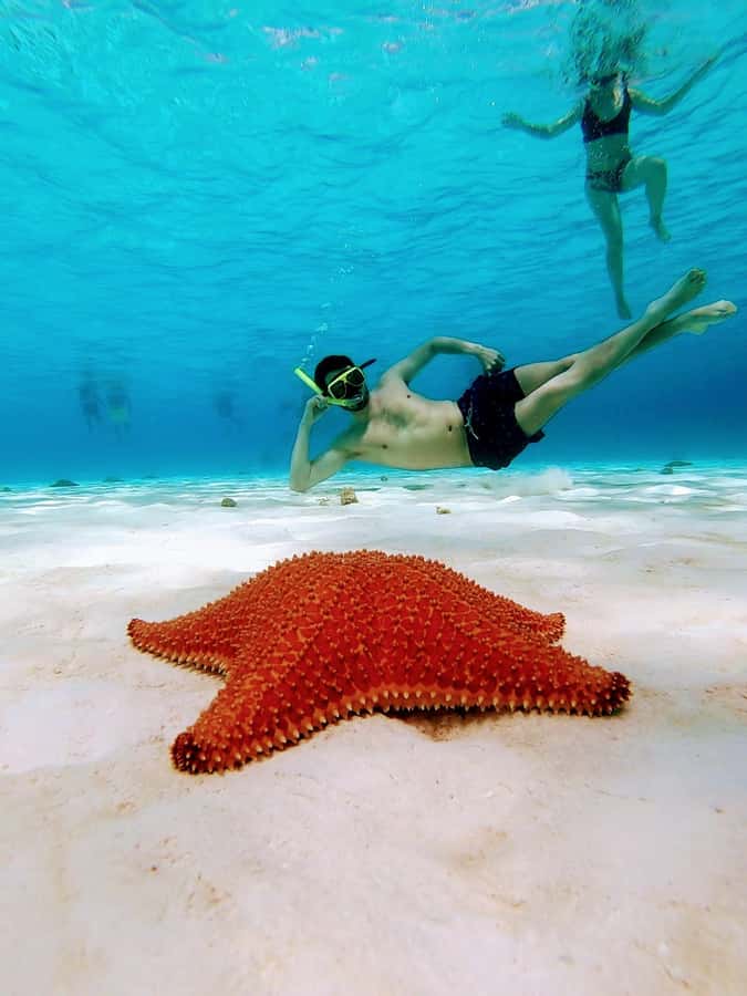 From Cozumel: El Cielo Beach by Catamaran Snorkeling Tour - Getting to Marina Cozumel ASIPONA