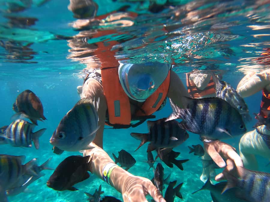 From Cozumel: Invisible Boat Snorkeling Tour - Key points to know before booking