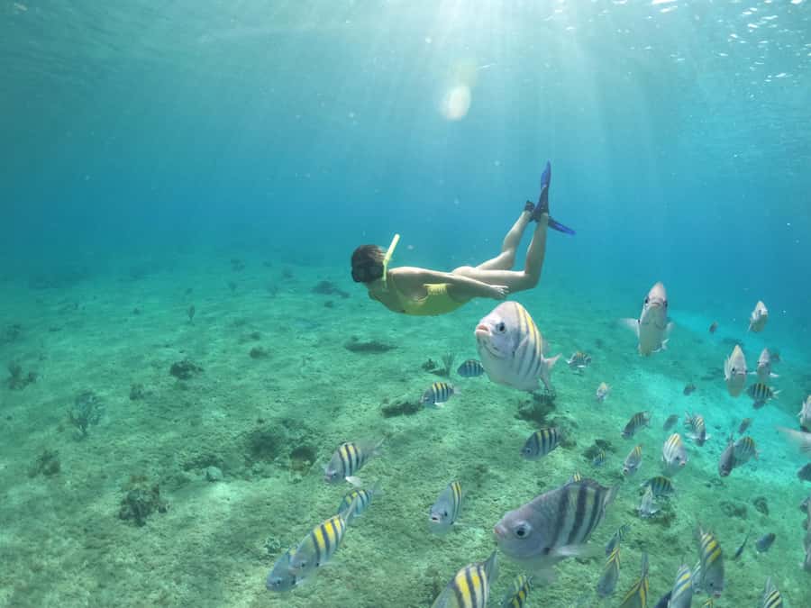 From Cozumel: Invisible Boat Snorkeling Tour - Practical advice for a smoother trip