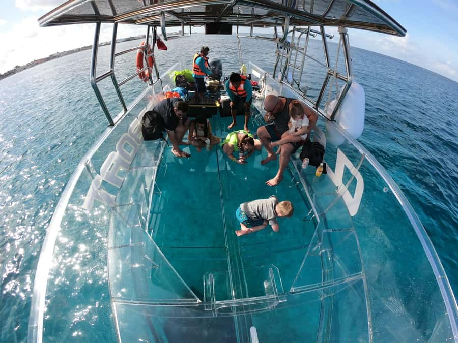 From Cozumel: Invisible Boat Snorkeling Tour - Why the clear boat is different from a glass-bottom boat