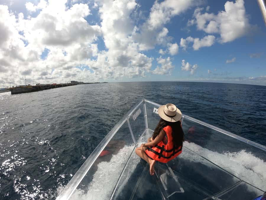 From Cozumel: Invisible Boat Snorkeling Tour - What you may see below the hull