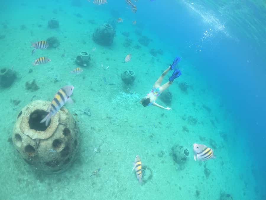 From Cozumel: Invisible Boat Snorkeling Tour - Boarding, comfort, and accessibility