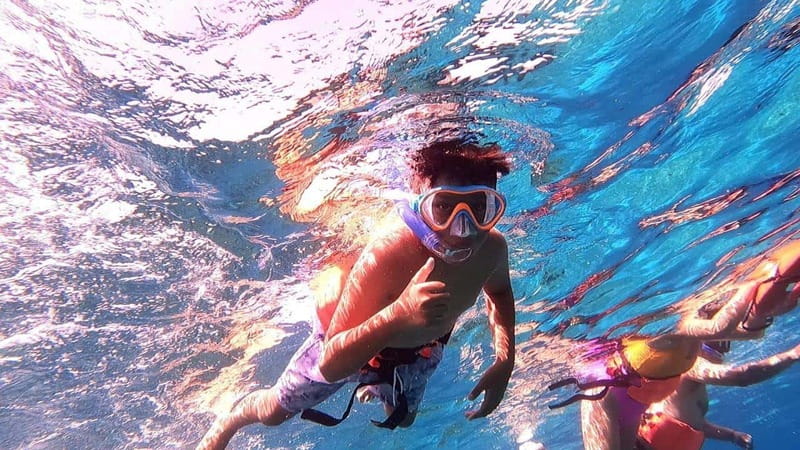 From Cozumel: Official Chankanaab Park Day Pass and Snorkel - Key points at a glance