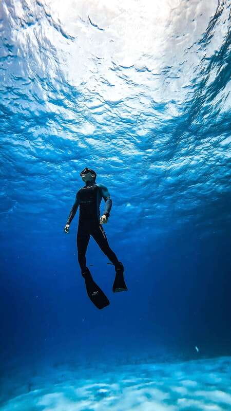 From Cozumel: Snorkel Private Charter to el Cielo & Cielito - Key points to know before you book