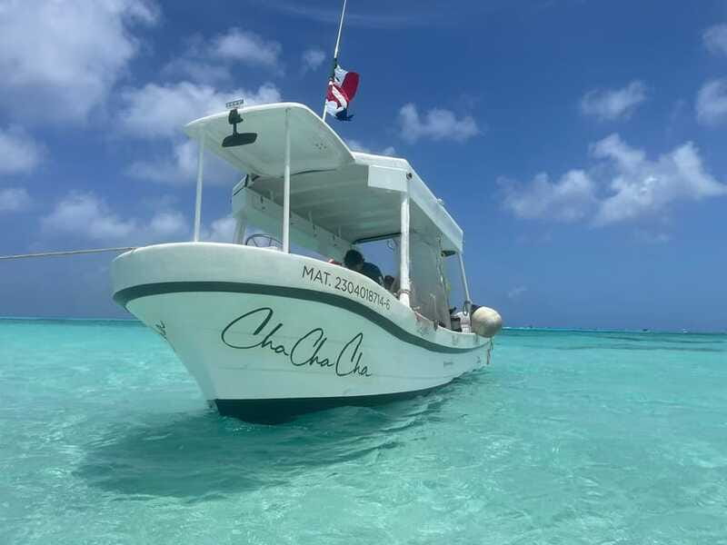 From Cozumel: Snorkel Private Charter to el Cielo & Cielito - El Cielo: starfish, turtles, and clear shallow water