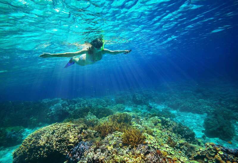 From Cozumel: Snorkel Private Charter to el Cielo & Cielito - What the $128 price includes