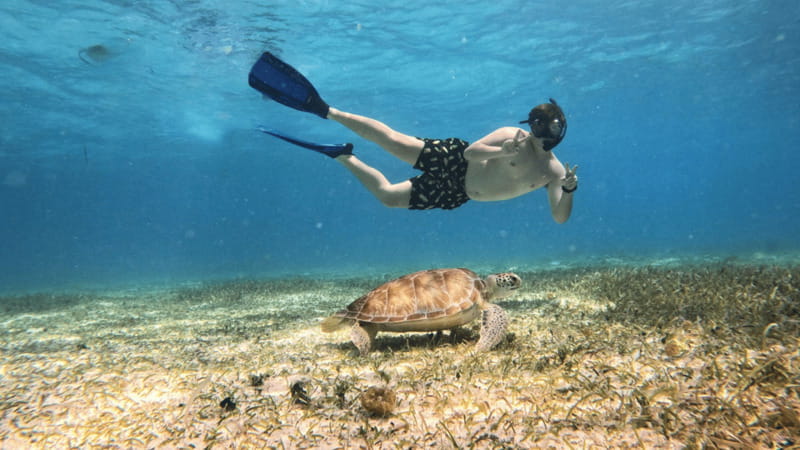 From Cozumel: Snorkel Private Charter to el Cielo & Cielito - Should you book the Cha Cha Cha private charter?