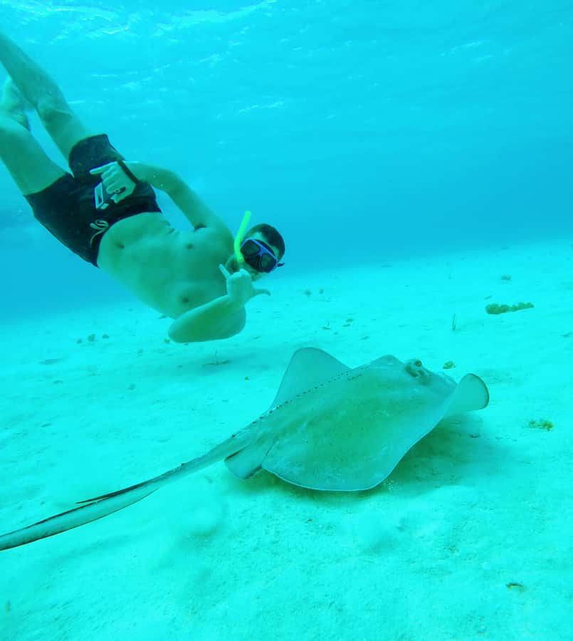 From Cozumel: Starfish, Stingrays and the Turtle Sanctuary - The boat ride and first stop at Playa Palancar
