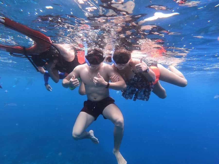 From Cozumel: Starfish, Stingrays and the Turtle Sanctuary - Ceviche, chips, and drinks in the water