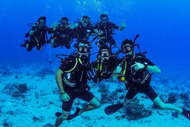 Fun dives Cozumel south marine park - Who will get the most from this trip