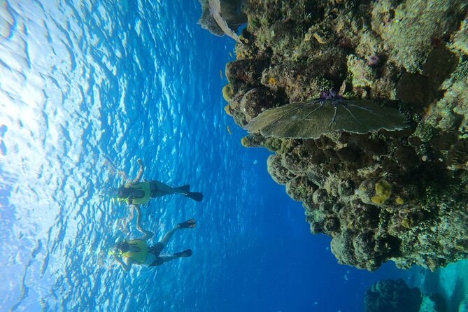 Get to know heaven on earth with Chivis del mar private - Reef protection changes what you pack