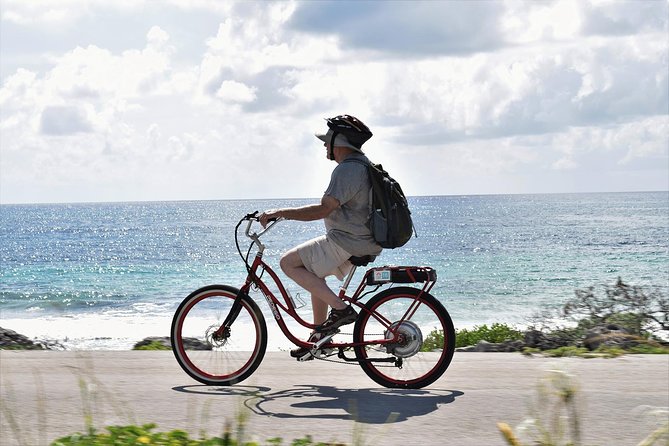Half-Day Electric Bike Tour of Cozumel's East Side With Lunch - From Punta Sur toward San Martin Beach