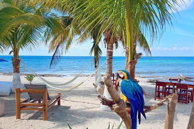 Half-Day Island Tour with Mayan Experience & Beach Break - The Guides Can Make or Break the Day