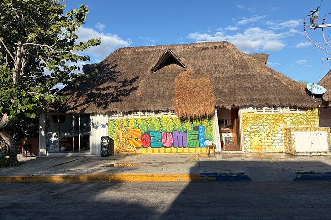 History walking - Foodie Cozumel tour - Birria and fruit at the municipal market
