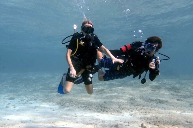 Introductory Diving Class in the Cozumel Reefs - Key points to know before booking