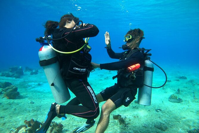 Introductory Diving Class in the Cozumel Reefs - What the Cozumel beginner scuba class is really like