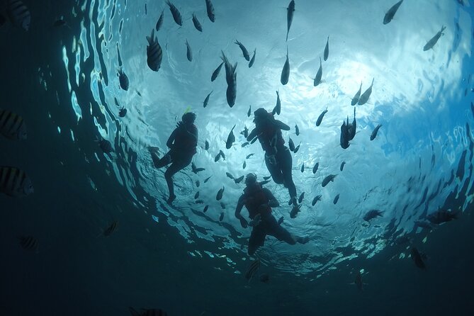 Invisible Boat Snorkeling Tour - The route from Villa Blanca to the reef areas