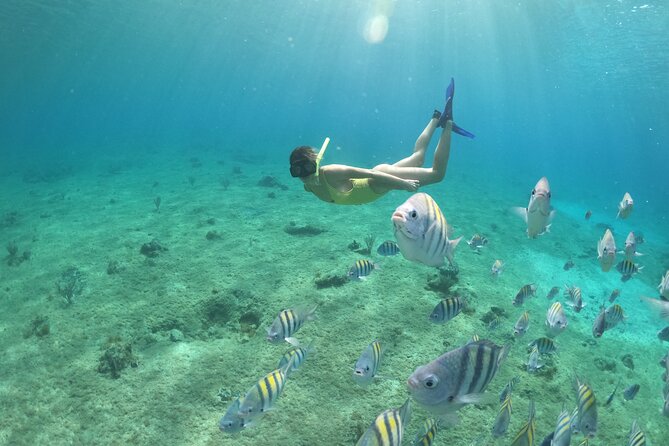 Invisible Boat Snorkeling Tour - The photo stop and what you may pay for