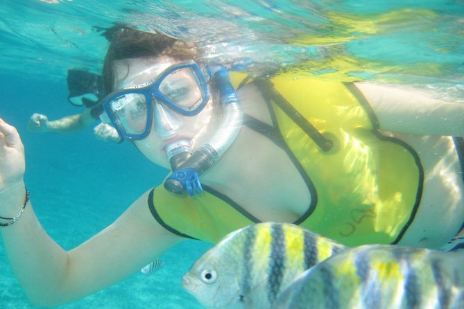 Island Flavors, Tequila & Beach Time - A Cozumel outing built around three flavors