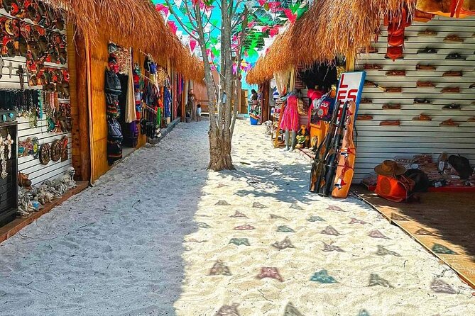 Island Tour in Cozumel, Mayan Show & Tacos - Friendly guides can shape the day