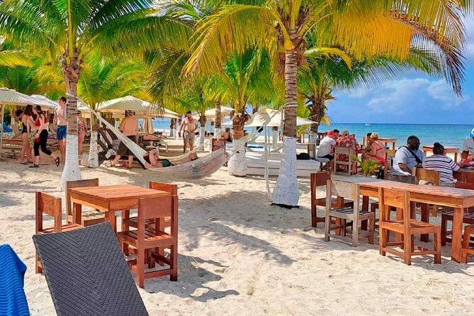 Island Tour in Cozumel, Mayan Show & Tacos - Timing, food, and what to bring