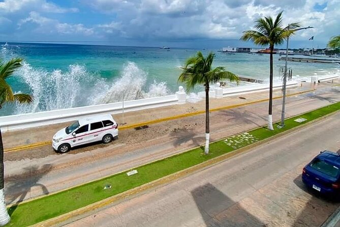 Island Tour With Private Driver - Who should book this tour?