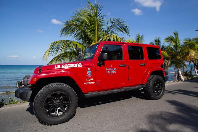 Jeep Exploration & All Inclusive Tortugas Beach Break (Private) - A private Jeep day with a built-in beach break