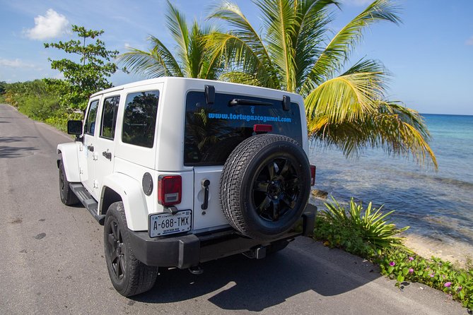 Jeep Exploration & All Inclusive Tortugas Beach Break (Private) - Tortugas Beach Club: the main event