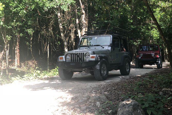 Jungle Jeep Adventure to Mayan Caves, Cenote and Snorkel - Entering Cenote Aerolito de Paraiso