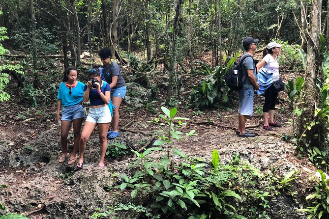 Jungle Jeep Adventure to Mayan Caves, Cenote and Snorkel - Mi Mexico Lindo and the tequila presentation
