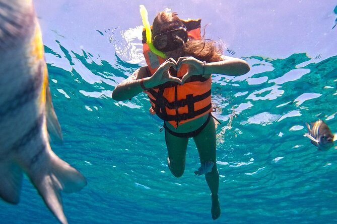 Magnificent Exploration to El Cielo Palancar and Columbia Reefs - Palancar Reef offers the classic Cozumel picture