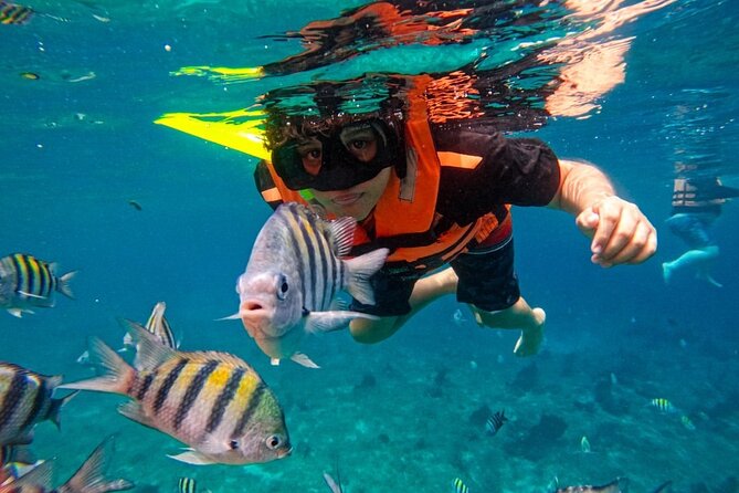 Magnificent Exploration to El Cielo Palancar and Columbia Reefs - El Cielito is where the manta rays take over