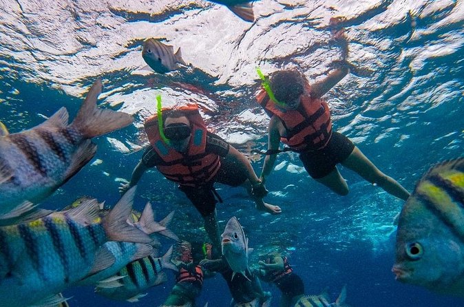 Magnificent Exploration to El Cielo Palancar and Columbia Reefs - Food and drinks add value, with a few limits