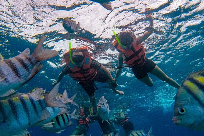 Magnificent Exploration to El Cielo Palancar and Columbia Reefs - The $23 price needs a closer look