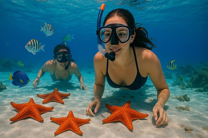 Magnificent Exploration to El Cielo Palancar and Columbia Reefs - English support is the biggest practical question