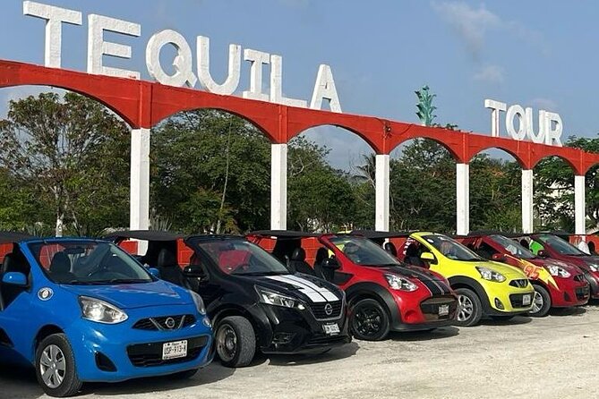 Mayan Adventure by Buggy : Explore Ruins & Culture Park - Key points to know before you book
