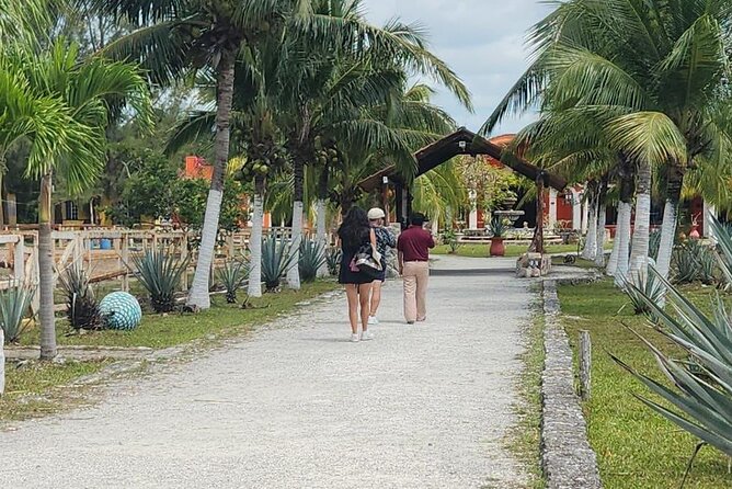 Mayan Adventure by Buggy : Explore Ruins & Culture Park - What the guide can add to the day