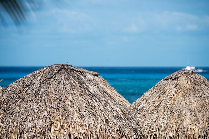 Mr. Sanchos Beach Club All-Inclusive Day Pass - Extra-cost activities and how to budget
